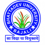 Bhattadev University